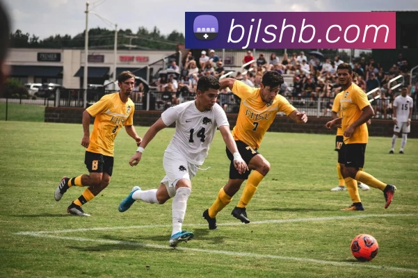 百家乐网站发展历程